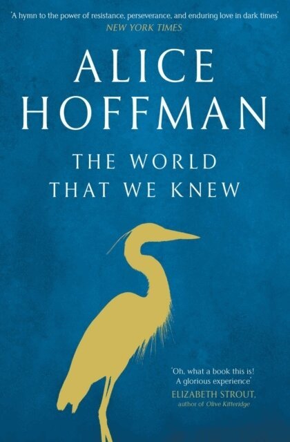Alice Hoffman - World That We Knew, Häftad