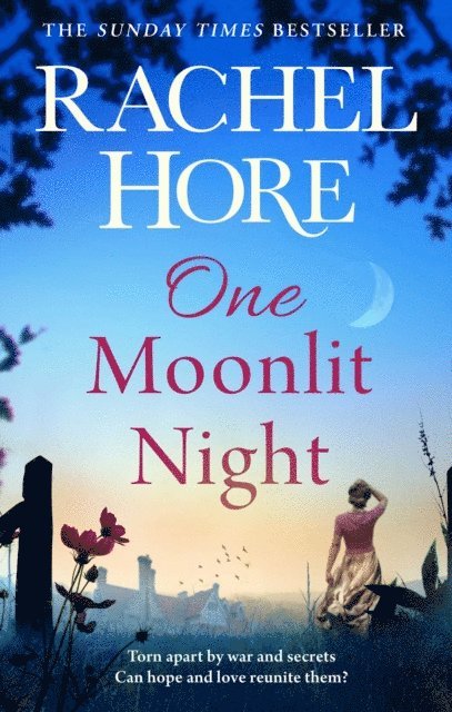 Rachel Hore - One Moonlit Night, E-bok