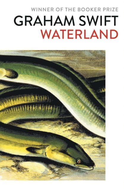 Graham Swift - Waterland, E-bok