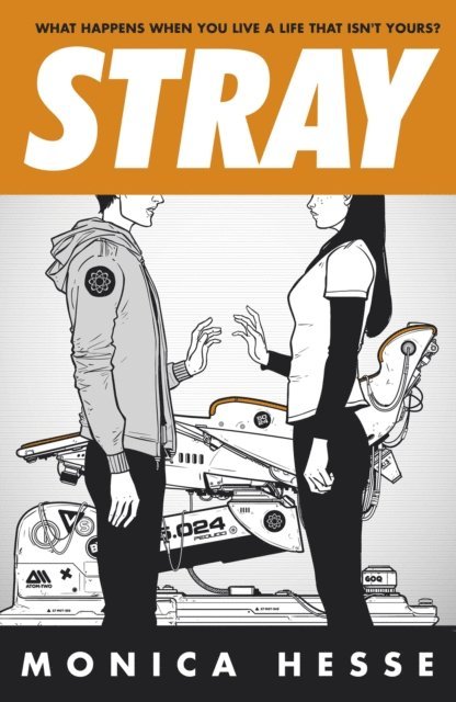 Monica Hesse - Stray, E-bok