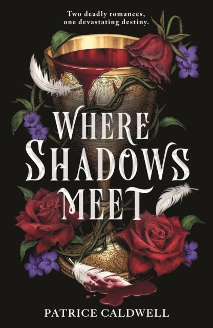 Patrice Caldwell - Where Shadows Meet, E-bok