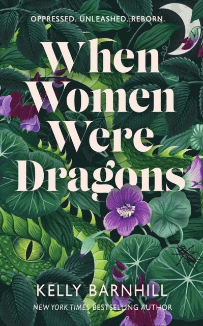 Kelly Barnhill - When Women Were Dragons, E-bok
