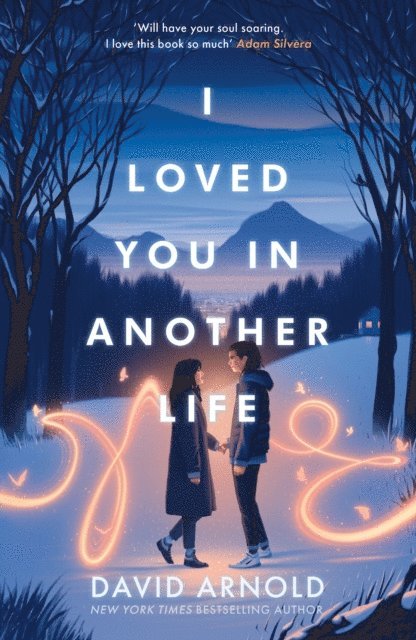 David Arnold - I Loved You In Another Life, E-bok
