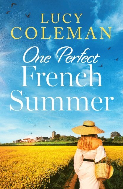 Lucy Coleman - One Perfect French Summer, E-bok
