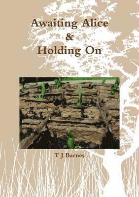Thomas Barnes - Awaiting Alice & Holding On, Häftad