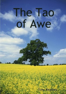 Tony Kearney - Tao of Awe, Häftad. Tillgänglighet: Lägg i varukorg