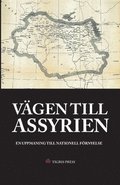 Vgen till Assyrien