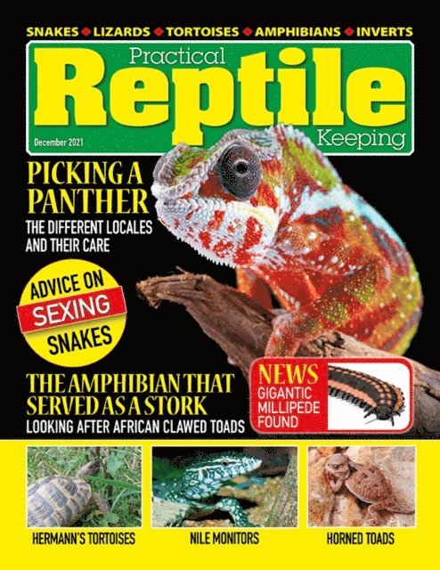 David Alderton - Practical Reptile Keeping - December 2021, E-bok