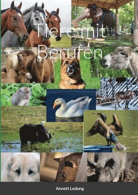 Annett Ledong - Tiere mit Berufen, Häftad