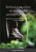 Reflexiones sobre el verdadero sentido de la vida