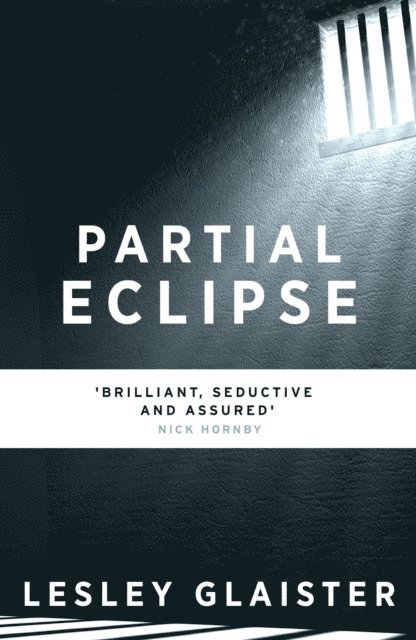 Lesley Glaister - Partial Eclipse, E-bok