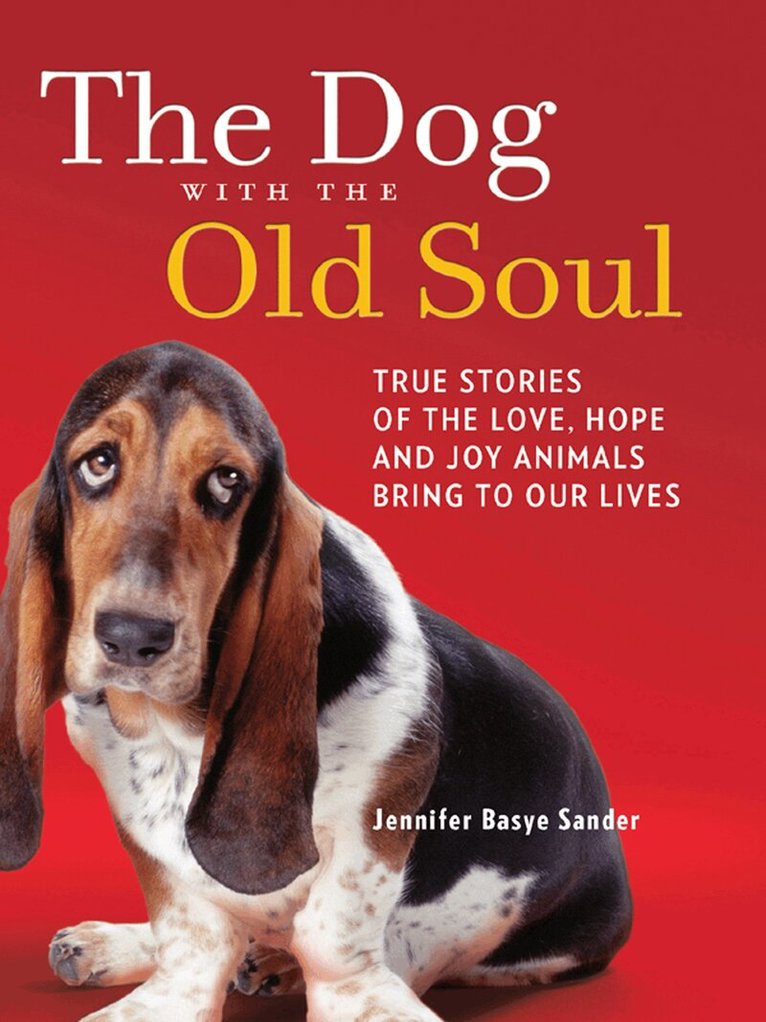 Jennifer Basye Sander - Dog With The Old Soul, E-bok