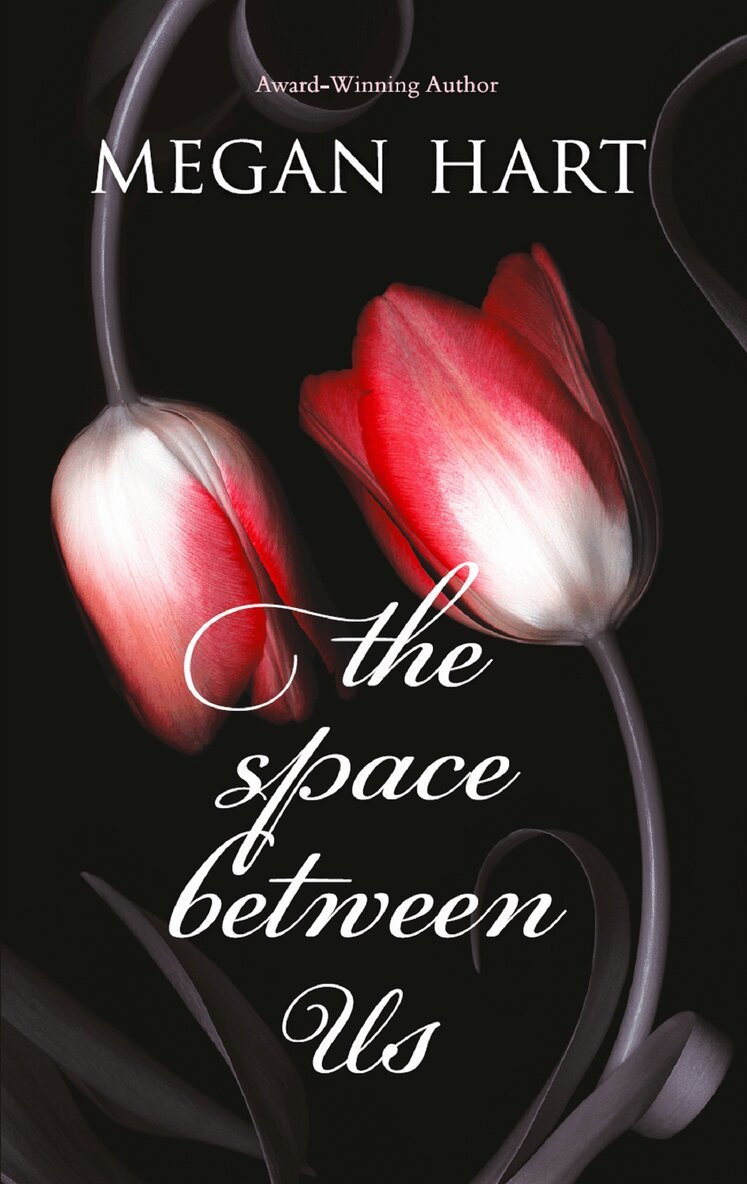 Megan Hart - Space Between Us, E-bok