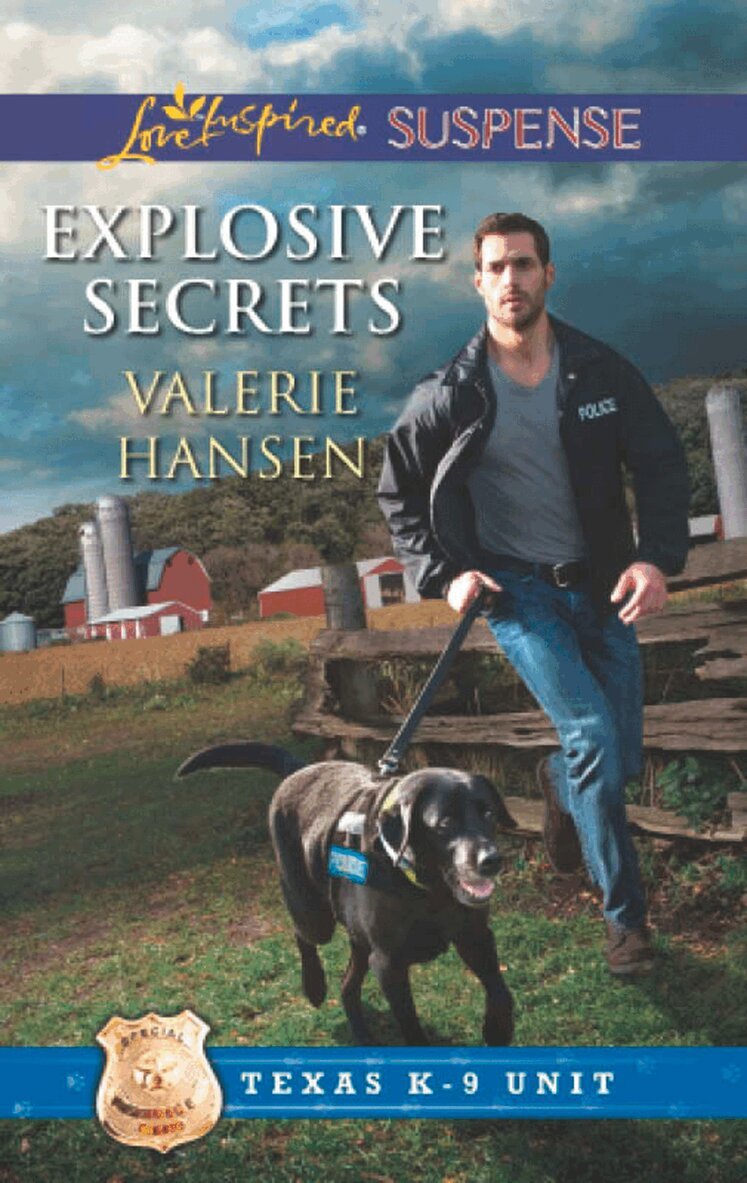 Valerie Hansen - Explosive Secrets, E-bok