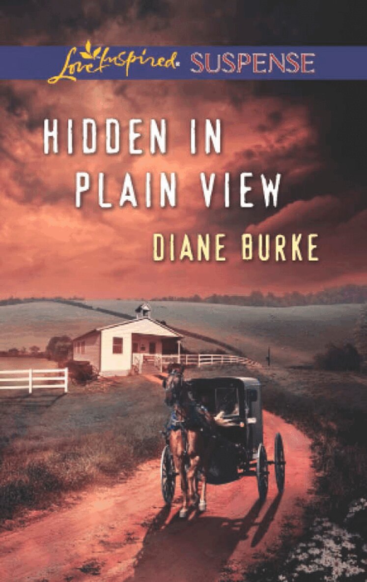 Diane Burke - Hidden in Plain View, E-bok