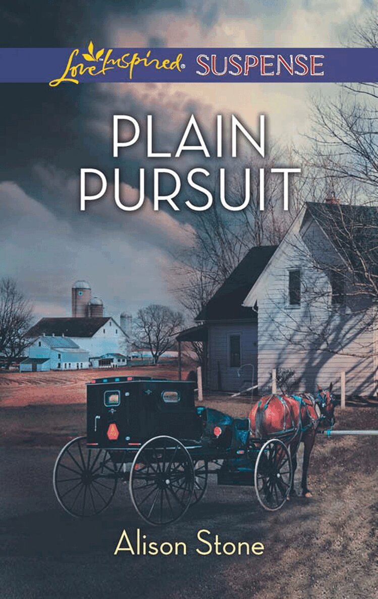 Alison Stone - Plain Pursuit, E-bok