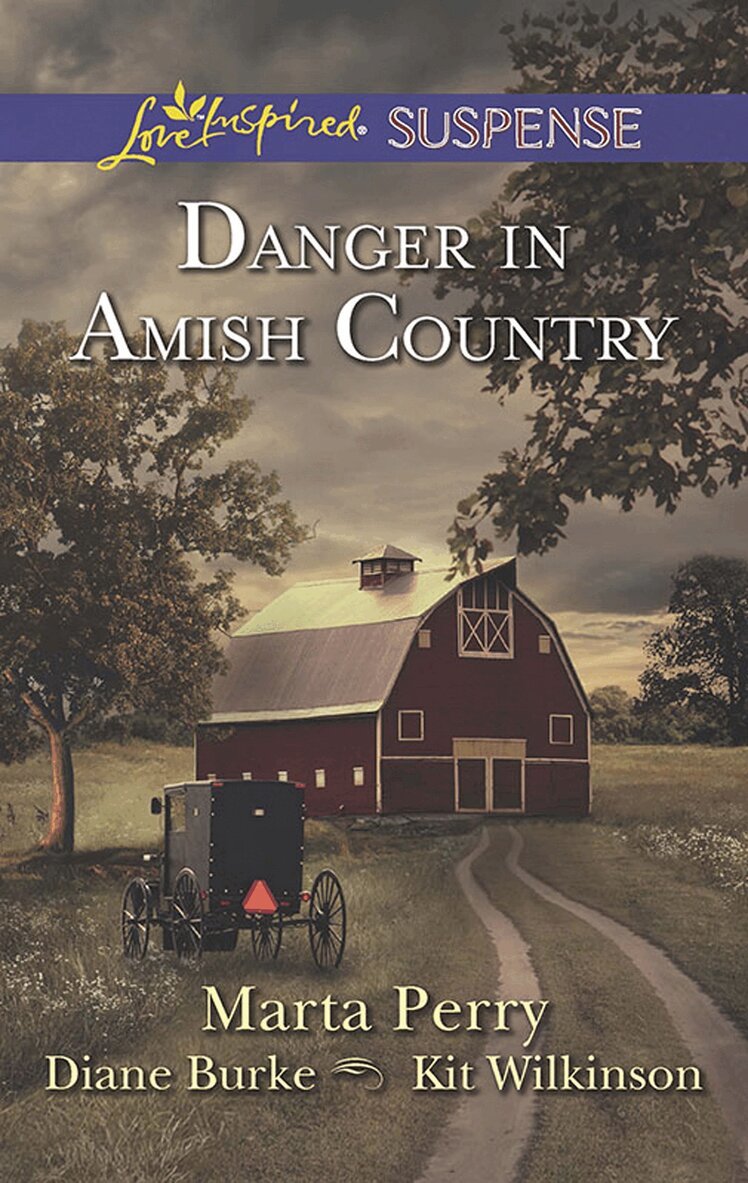 Marta Perry, Diane Burke, Kit Wilkinson - Danger In Amish Country, E-bok