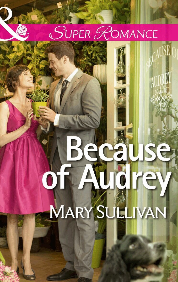 Mary Sullivan - Because of Audrey, E-bok