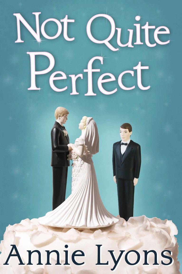 Annie Lyons - Not Quite Perfect, E-bok