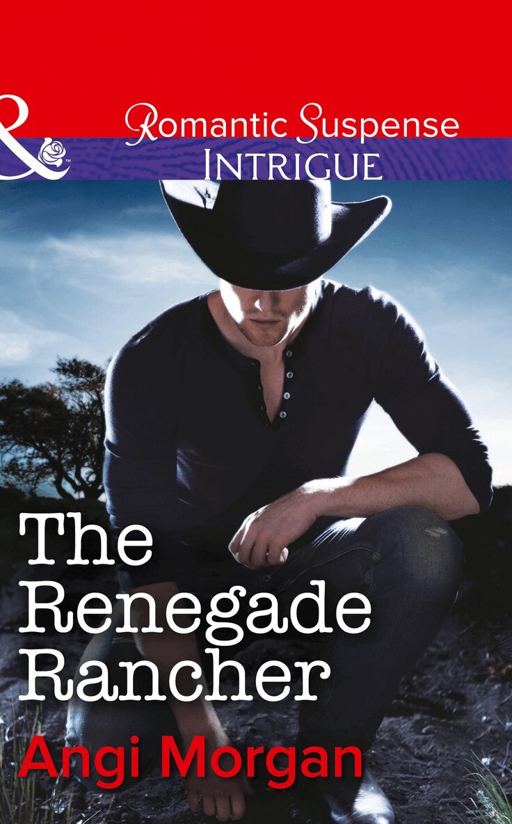 Angi Morgan - Renegade Rancher, E-bok