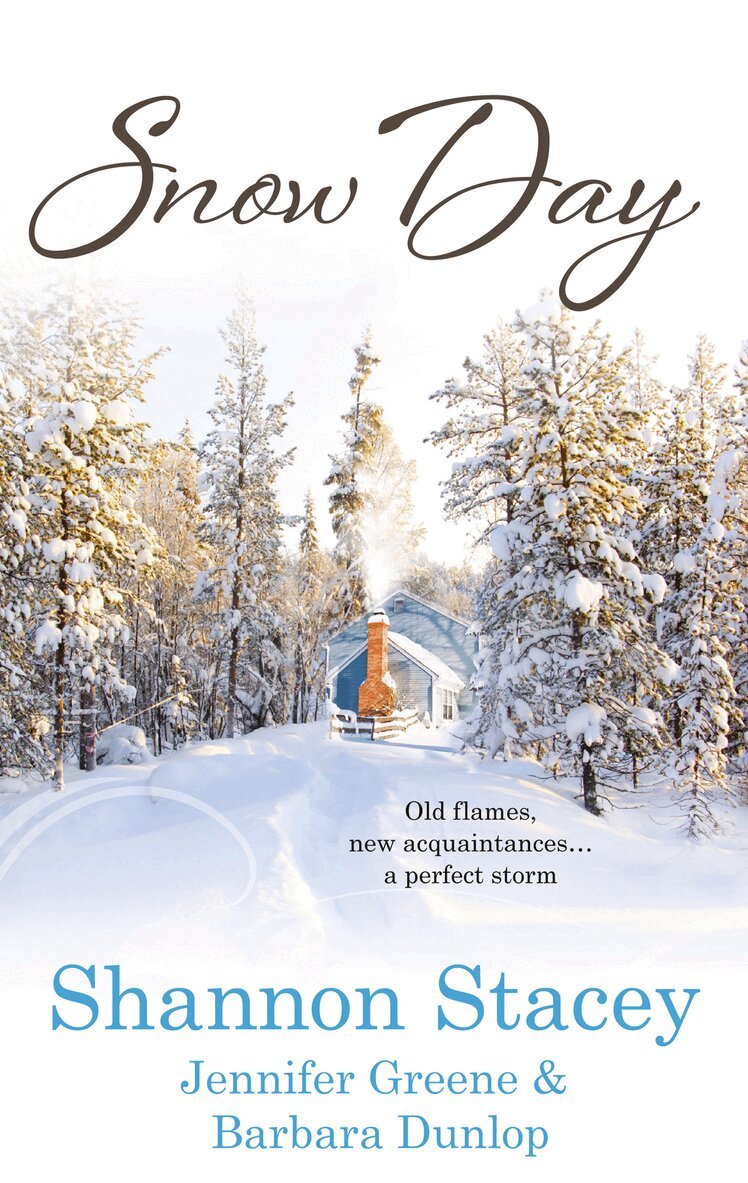 Shannon Stacey, Jennifer Greene, Barbara Dunlop - Snow Day, E-bok