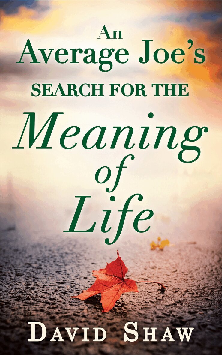 David Shaw - Average Joe's Search For The Meaning Of Life, E-bok