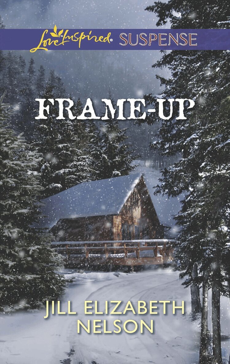 Jill Elizabeth Nelson - Frame-Up, E-bok