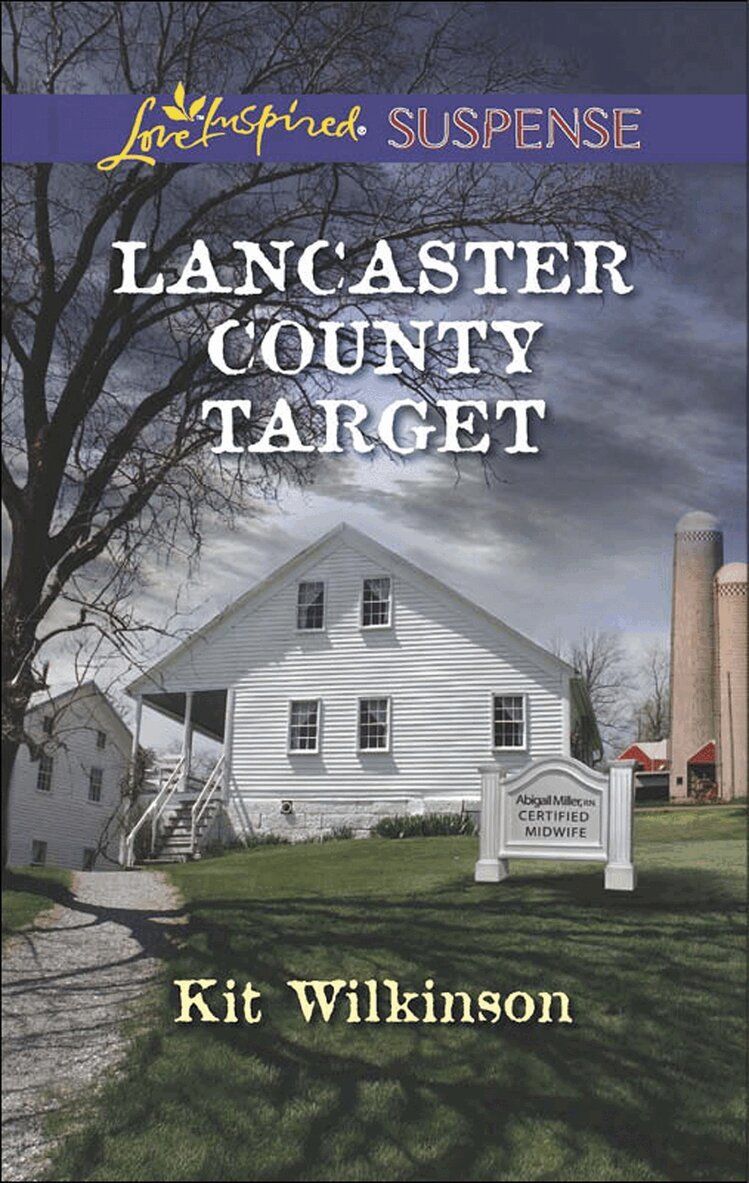 Kit Wilkinson - Lancaster County Target, E-bok