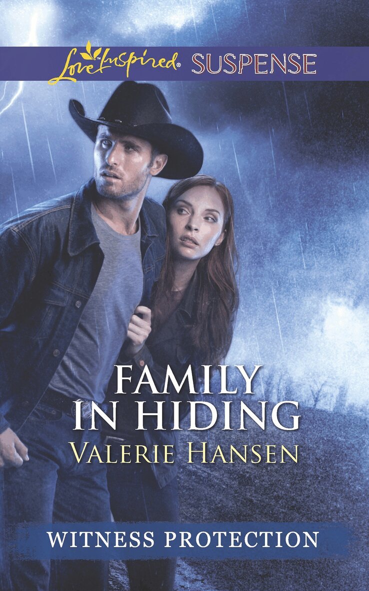 Valerie Hansen - Family In Hiding, E-bok