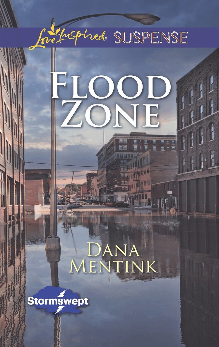 Dana Mentink - Flood Zone, E-bok