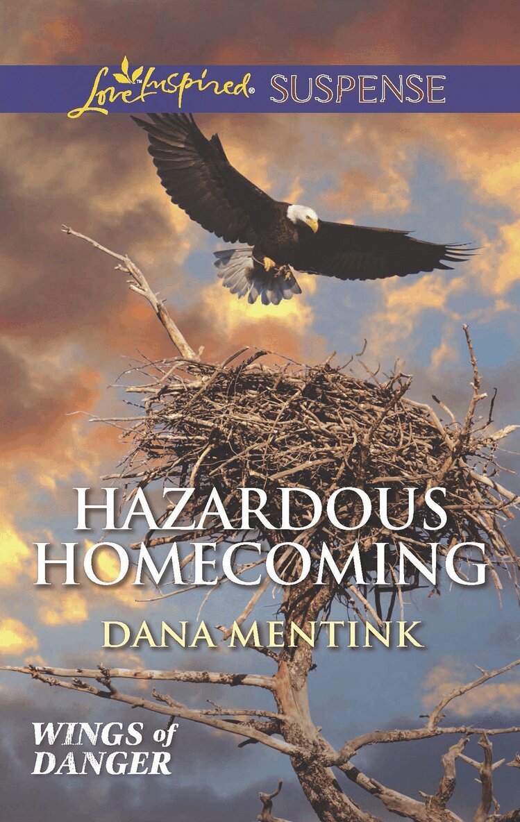 Dana Mentink - Hazardous Homecoming, E-bok