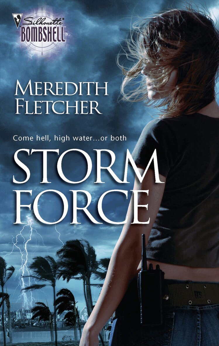 Meredith Fletcher - Storm Force, E-bok