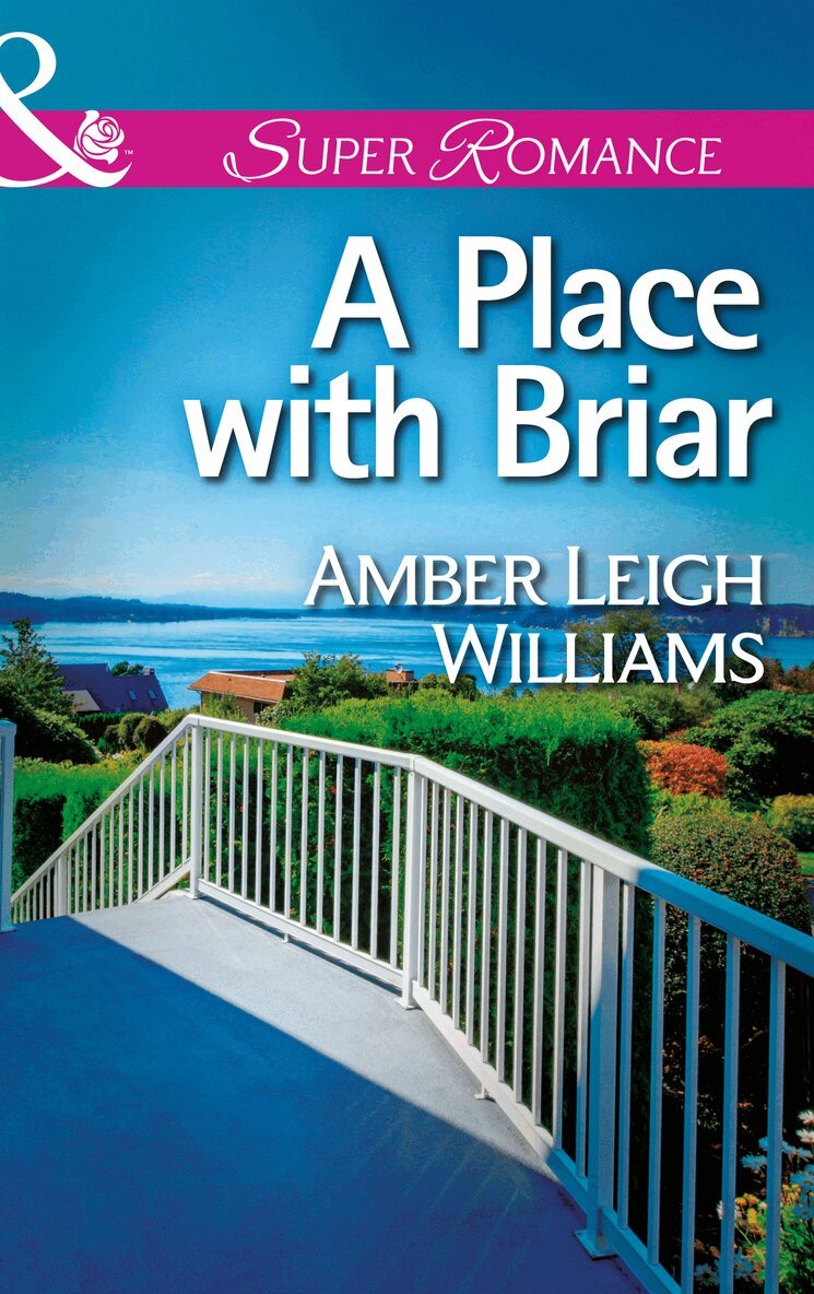 Amber Leigh Williams - Place with Briar, E-bok