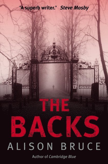 Alison Bruce - Backs, E-bok