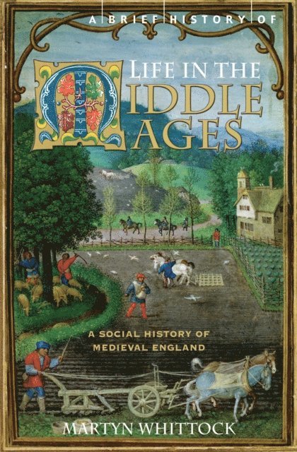 Martyn Whittock - Brief History of Life in the Middle Ages, E-bok