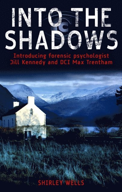 Shirley Wells - Into the Shadows, E-bok