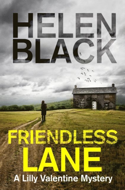 Helen Black - Friendless Lane, E-bok