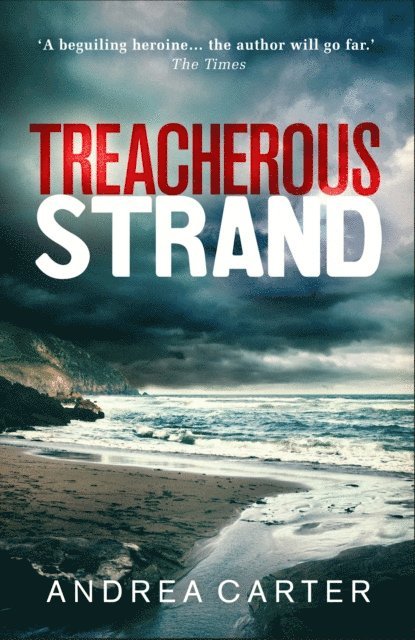 Andrea Carter - Treacherous Strand, E-bok