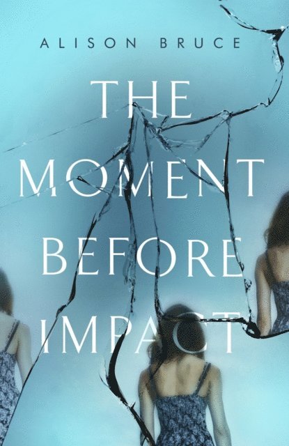 Alison Bruce - Moment Before Impact, E-bok