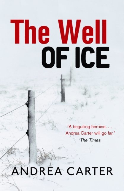 Andrea Carter - Well of Ice, E-bok