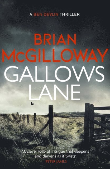 Brian McGilloway - Gallows Lane, E-bok