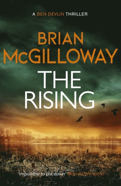 Brian McGilloway - Rising, E-bok