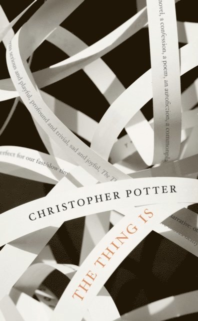Christopher Potter - Thing Is, E-bok