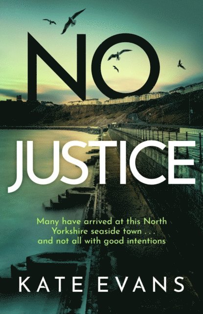 Kate Evans - No Justice, E-bok
