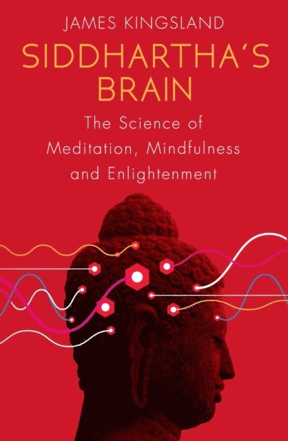 James Kingsland - Siddhartha's Brain, E-bok