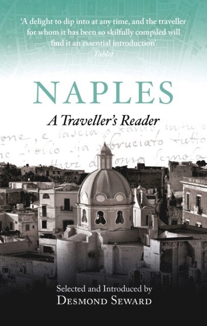 Desmond Seward - Naples, E-bok
