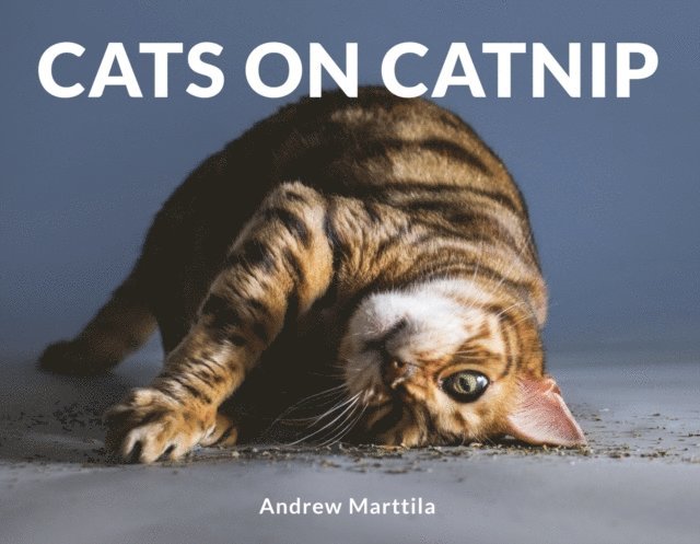 Andrew Marttila - Cats on Catnip, E-bok