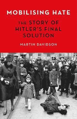 Martin Davidson - Mobilising Hate, Inbunden. Tillgänglighet: Tillfälligt slut