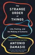 Strange Order Of Things
