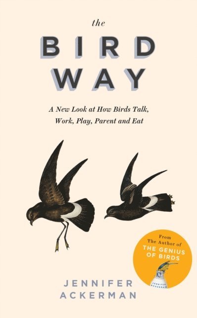 Jennifer Ackerman - Bird Way, E-bok